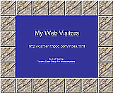 My Web Visitors